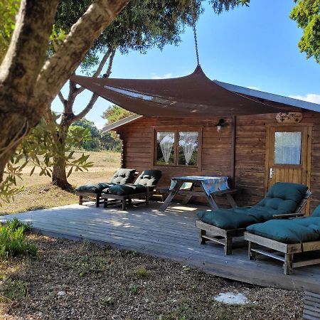 Chalet Climatise Santa Maria A Bonifacio Bonifacio  Exteriér fotografie